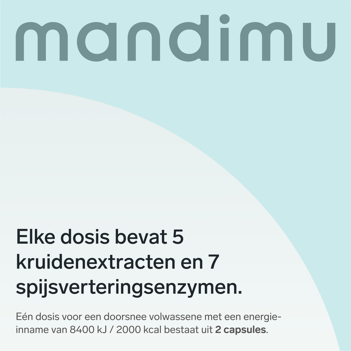 Buik in Balans (Debloat)