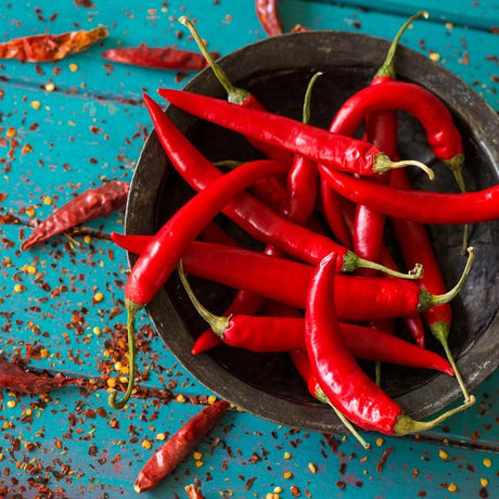 chillipepers