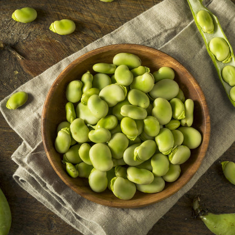 fava bonen