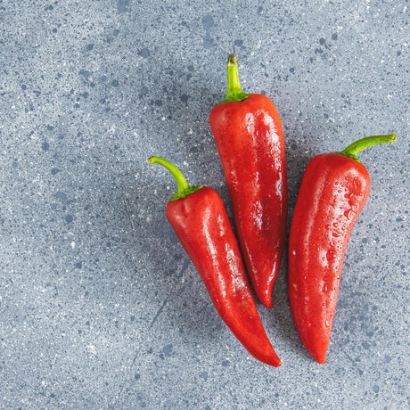 kapia-paprika